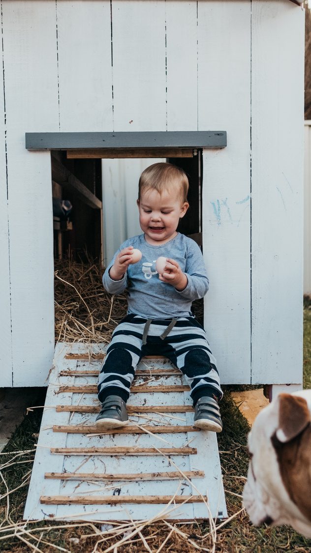 Collecting eggs at Tournesol Farms