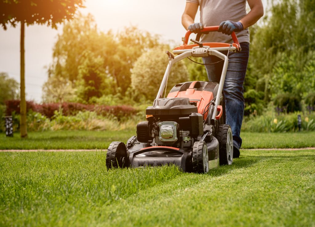 Gardener mowing the lawn